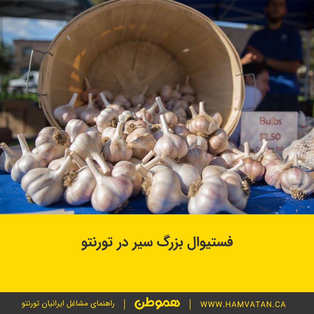 فستیوال بزرگ سیر در تورنتو