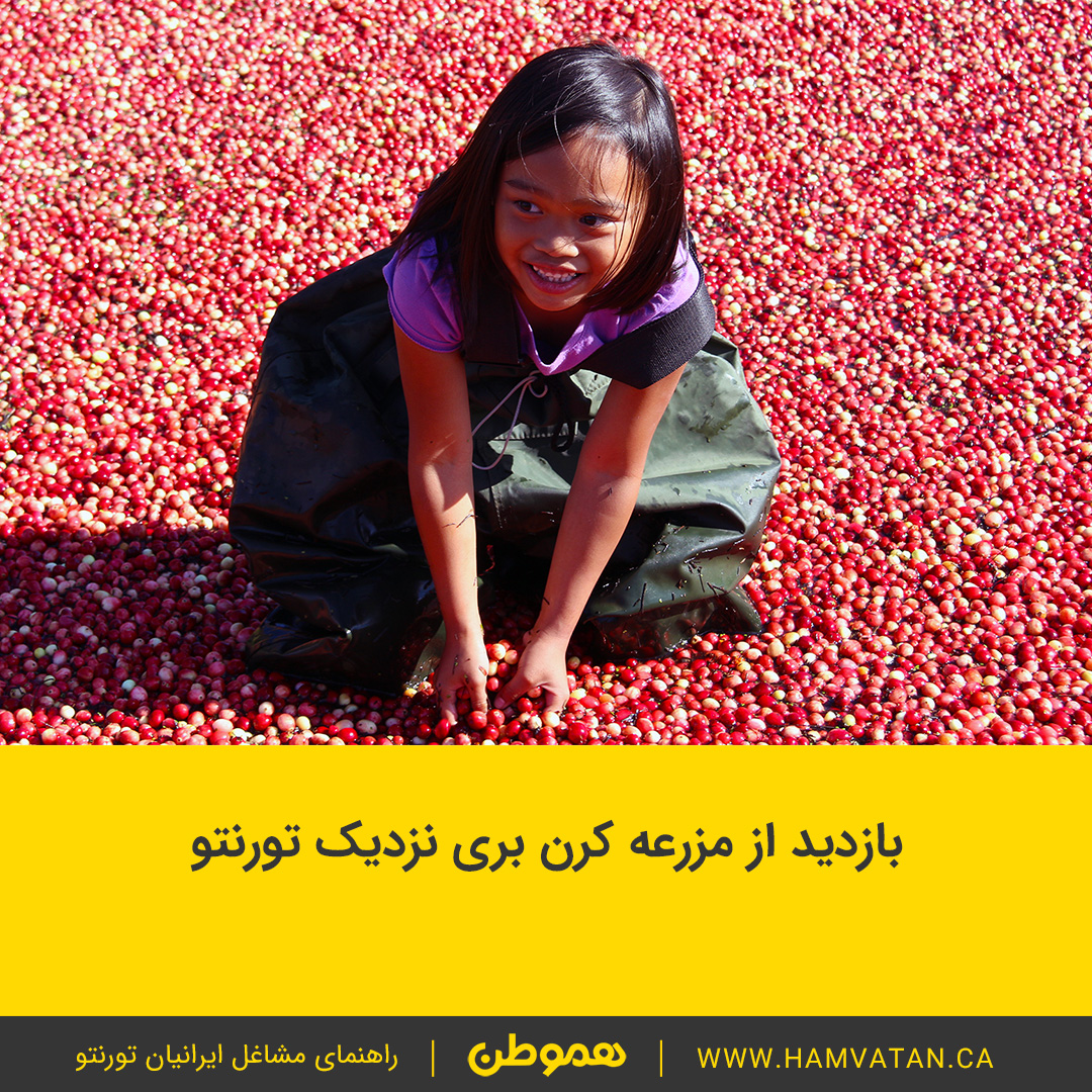 بازدید از مزرعه کرن بری نزدیک تورنتو