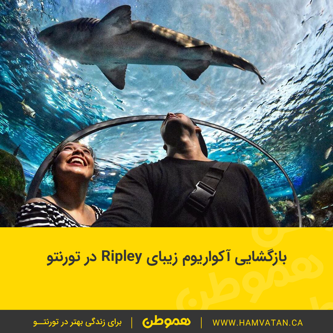بازگشایی آکواریوم زیبای Ripley در تورنتو