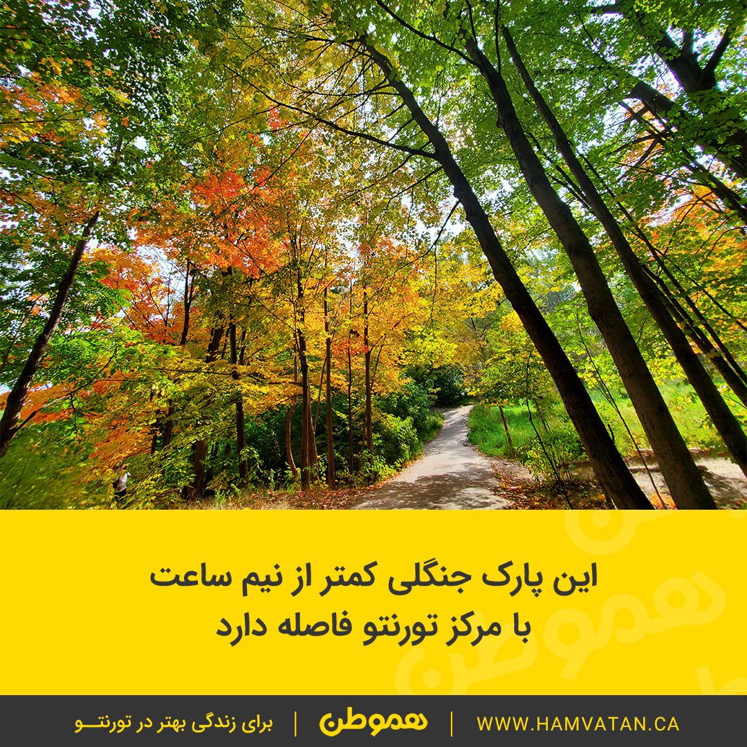 این پارک جنگلی کمتر از نیم ساعت با مرکز تورنتو فاصله دارد