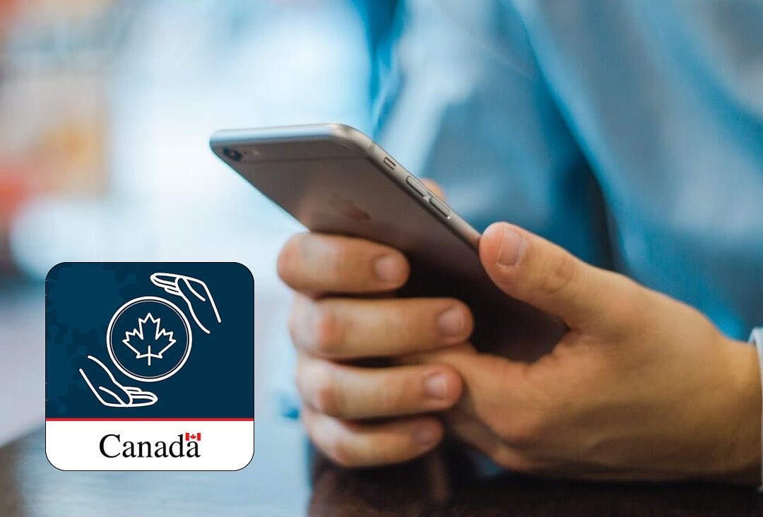 اپلیکیشن ArriveCAN چیست؟ چه اطلاعاتی را باید در آن وارد کنیم؟