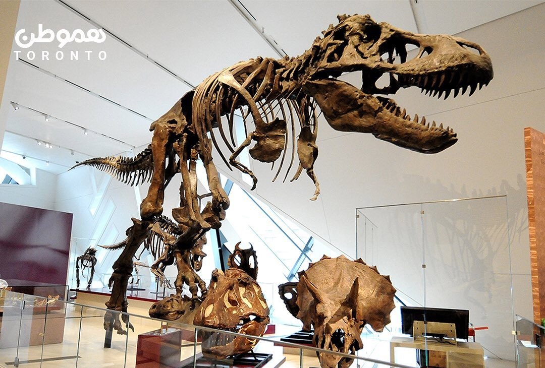 بازدید رایگان از موزه ها و جاذبه های فرهنگی برای اعضای کتابخانه عمومی تورنتو