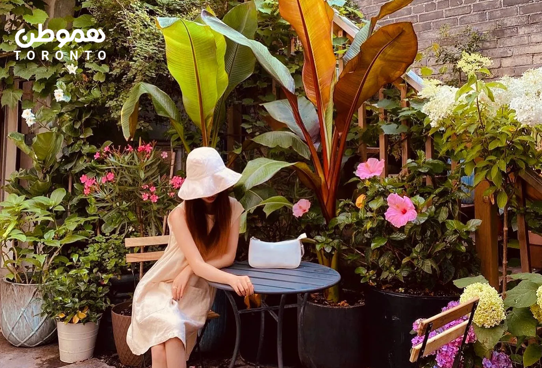 ۷ کافه دنج و دوست داشتنی در تورنتو