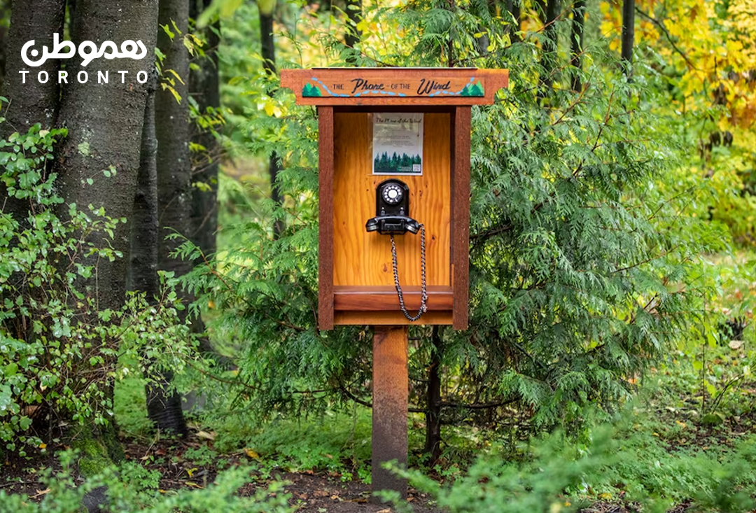 ایده wind phone در کانادا: تلفنی در طبیعت برای صحبت با درگذشتگان