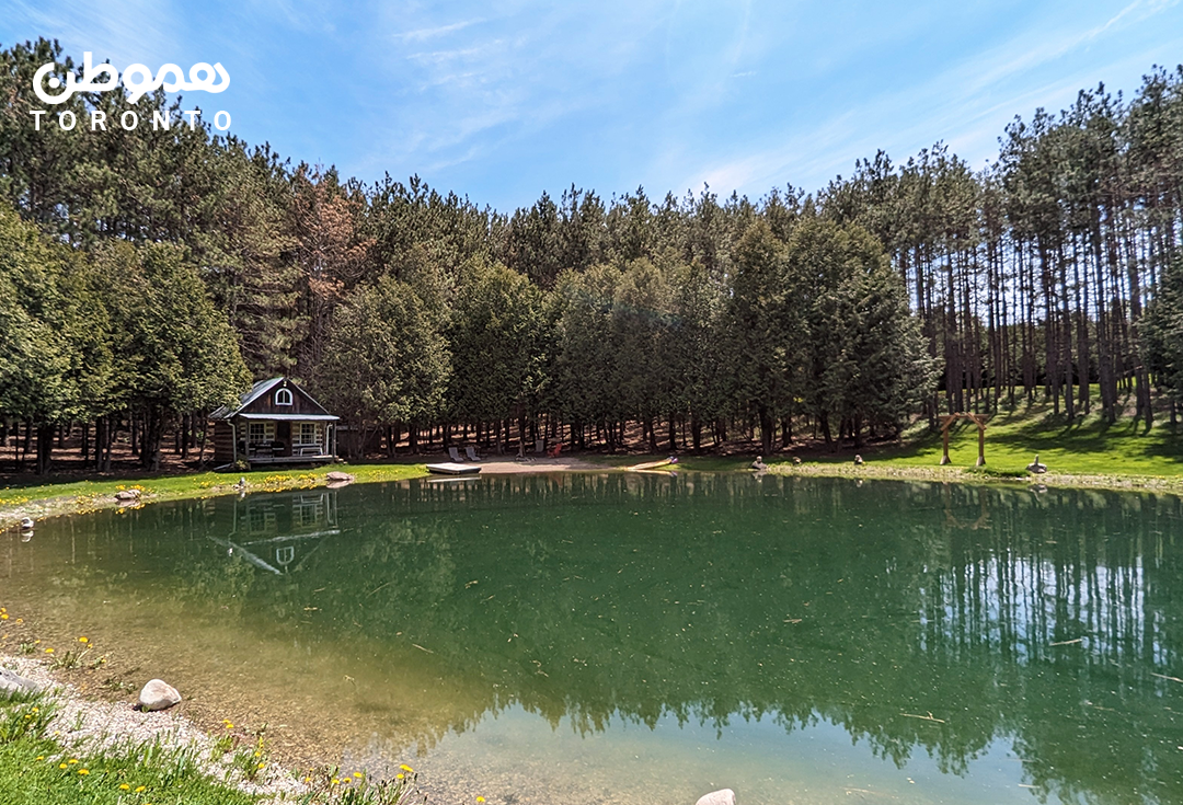 کلبه جنگلی رویایی با برکه اختصاصی به فاصله ۱ ساعت از تورنتو