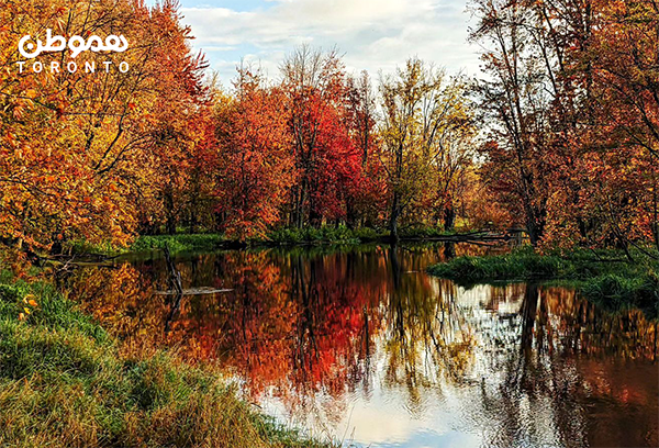 دهکده‌ای با حال و هوای هنری در نزدیکی تورنتو Clarksburg