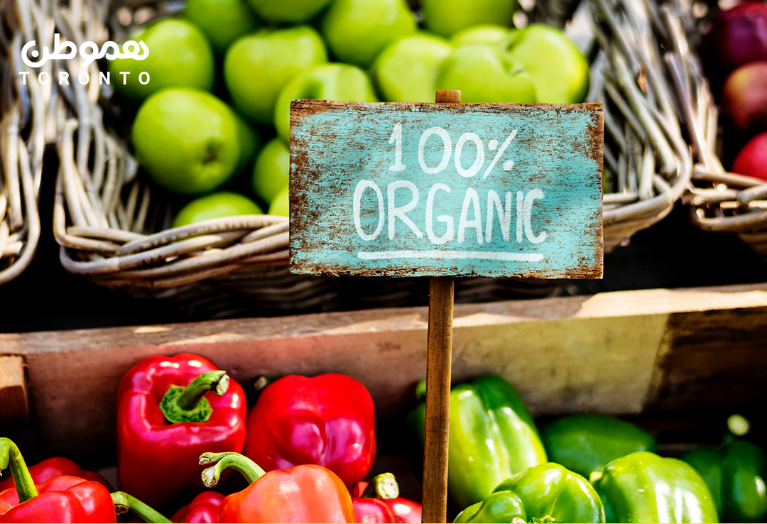 به دنبال تهیه مواد غذایی ارگانیک هستید؟ به این ۶ فروشگاه تورنتو سر بزنید