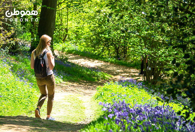 ۵ مسیر زیبا در نزدیکی تورنتو  برای پیاده‌ روی بهاری
