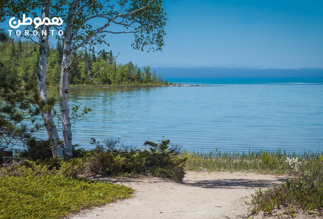 تراپی با جنگل در پارک استانی MacGregor Point