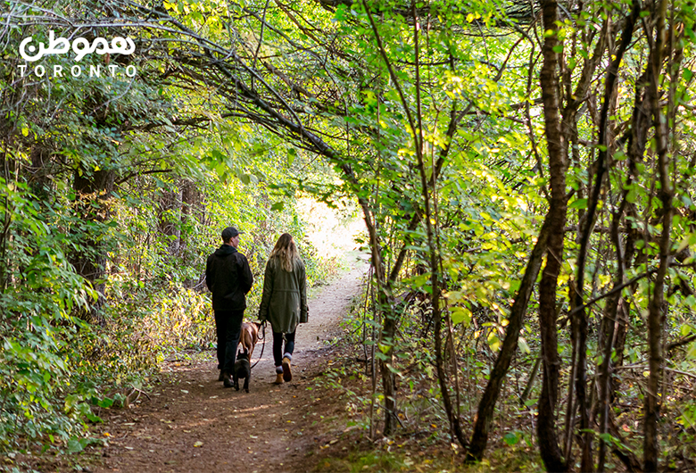 شهر Uxbridge در نزدیکی تورنتو: پایتخت تریل کانادا