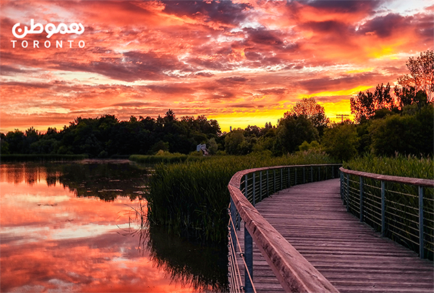 یک روز آرام در کنار ساحل: Rouge Beach تورنتو