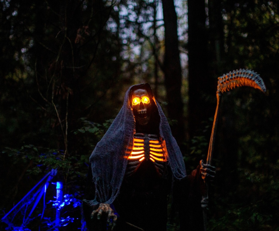 قدم‌ زدن در کوره‌راه وحشت: ۲۳ تا ۲۵ اکتبر – نیومارکت