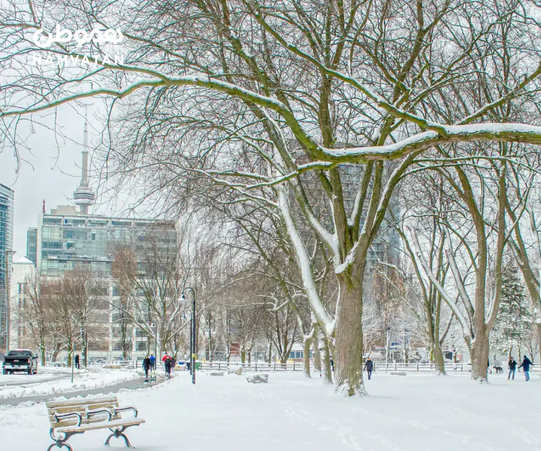رکورد زودترین بارش سنگین برف در تورنتو و مناطق اطراف شکسته شد