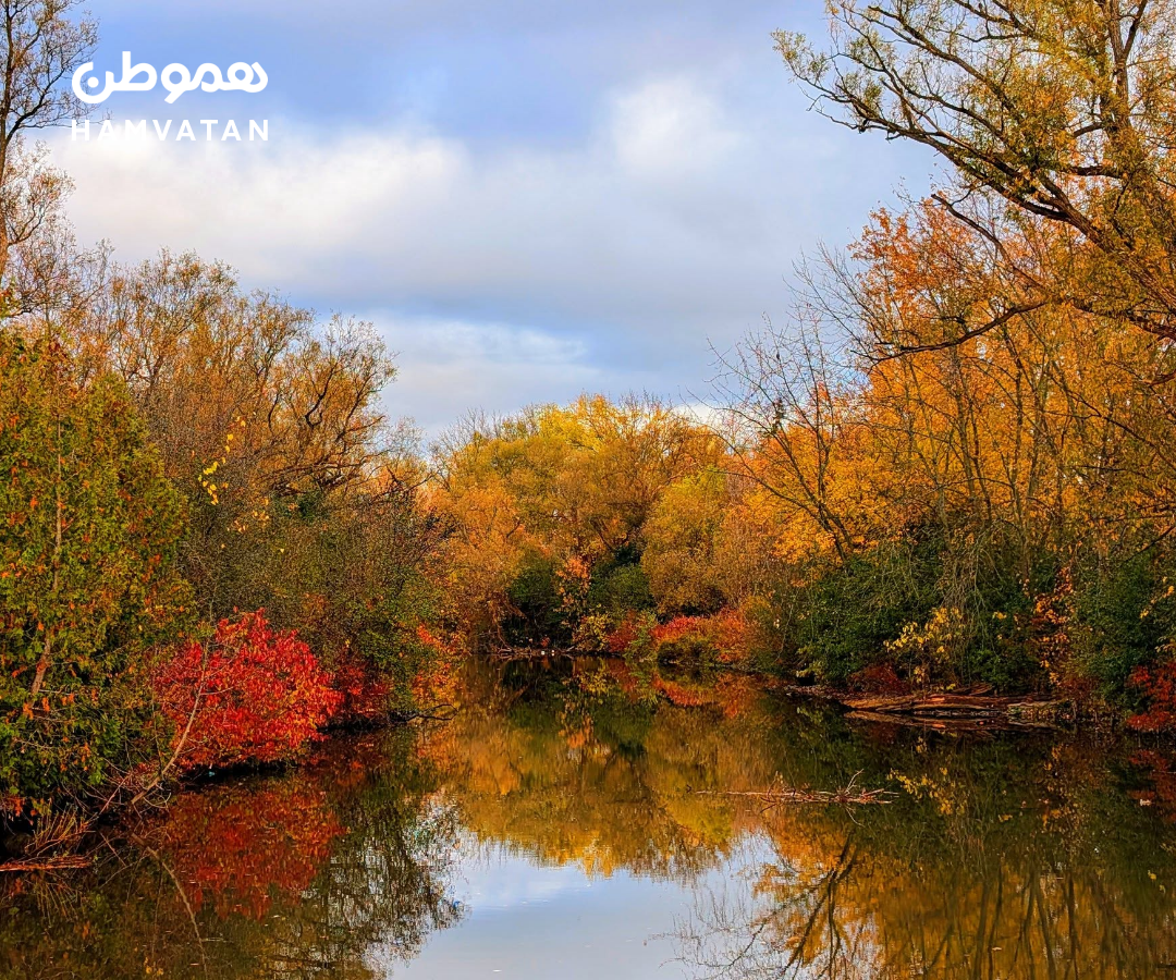 قدم زدن میان رنگ‌های پاییز: پارک Fairy Lake در قلب نیومارکت